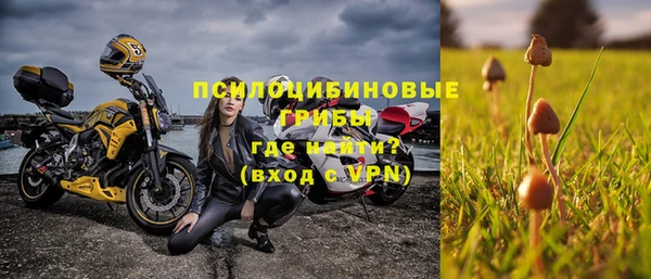 прущая мука Богородск