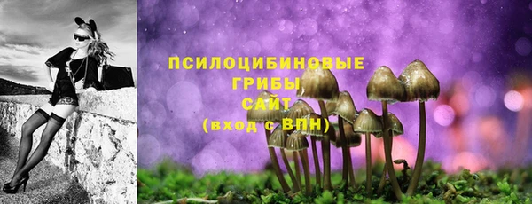 СК Бугульма