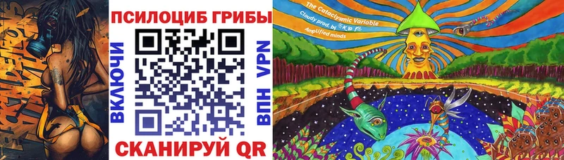 Галлюциногенные грибы прущие грибы  Купить где  Полярные Зори 